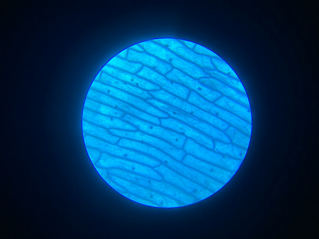 How Collagen Breaks Down With Age (And Why It Matters for Your Joints)